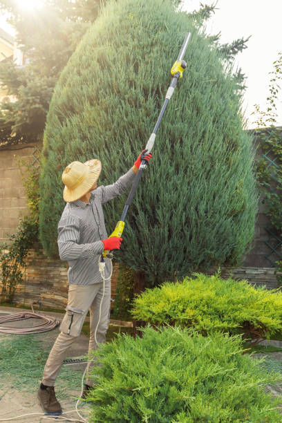 Best Landscape Design and Installation  in Tice, FL
